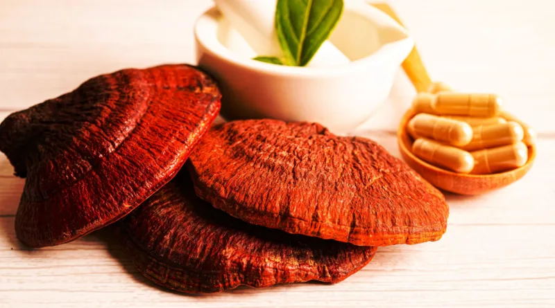 Doctor says about Reishi mushrooms boosting sexual drive